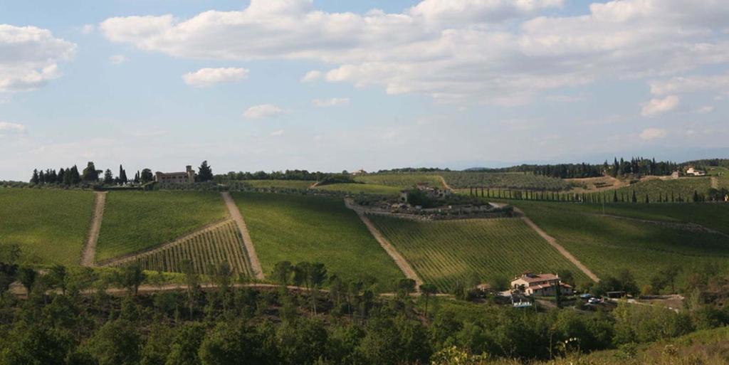 Il Vichiaccio Country House Impruneta Exterior photo